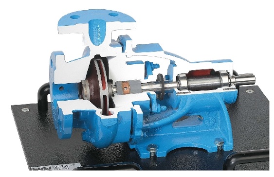 Cutaway model: centrifugal pump